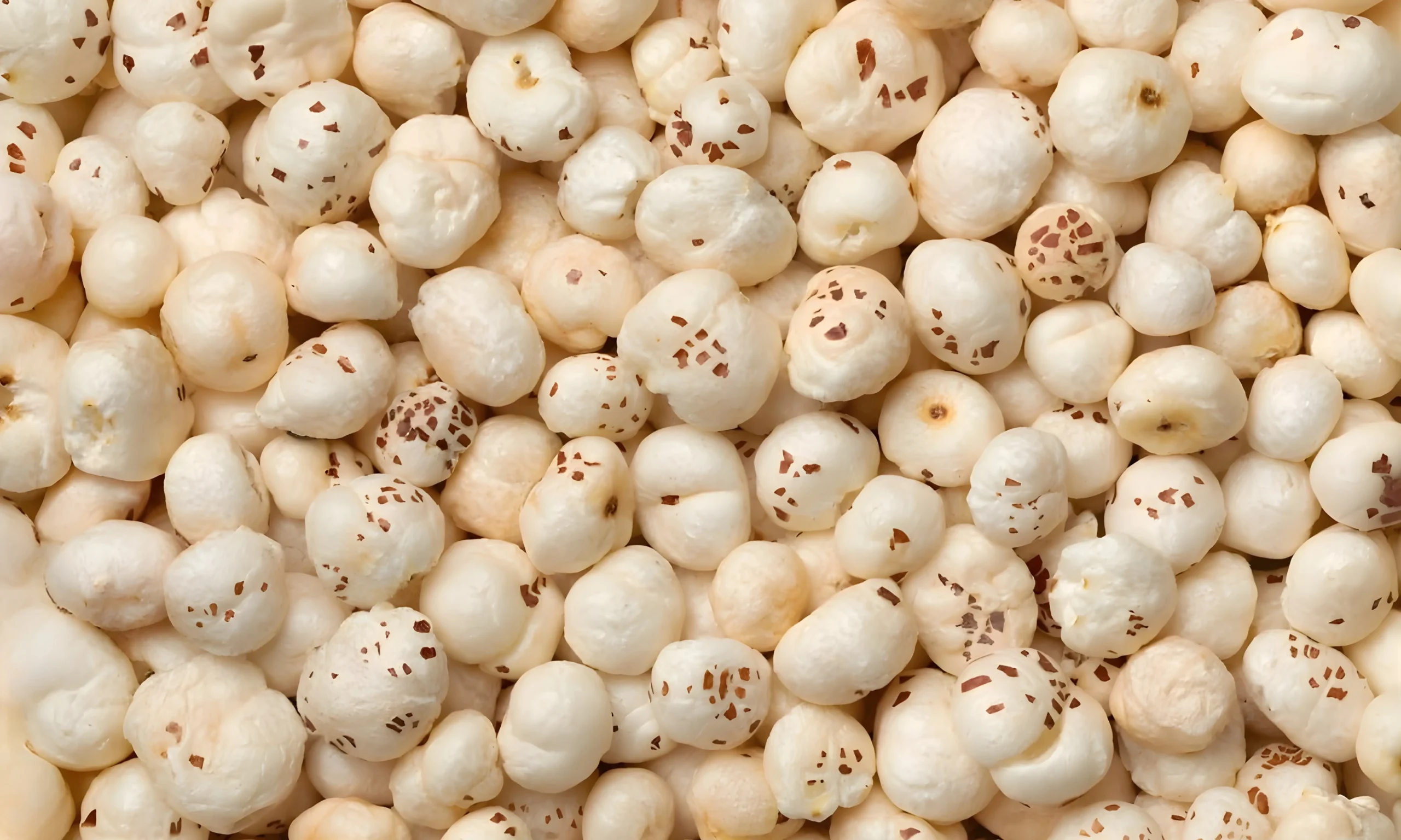 Makhana Manufacturers